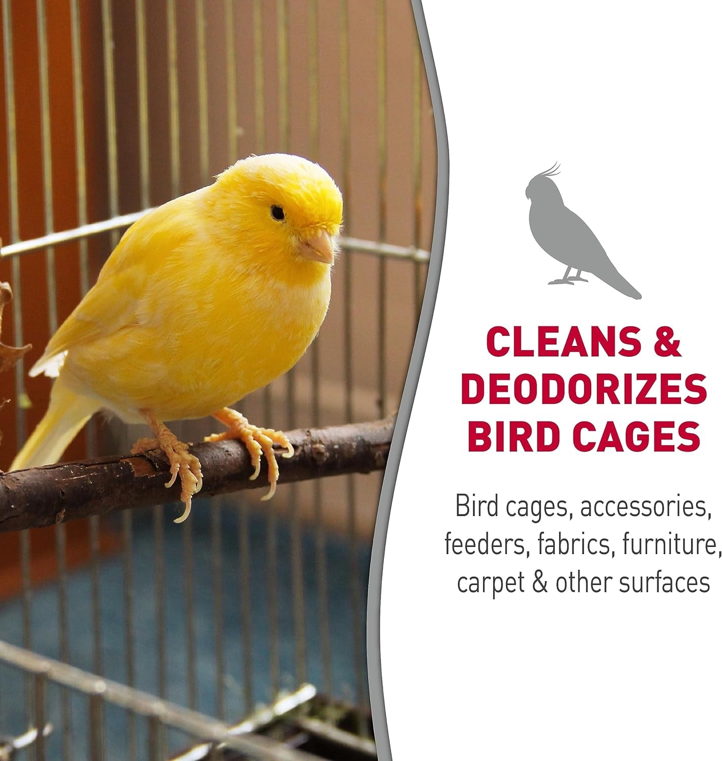 Bird Cage & Surface Cleaner