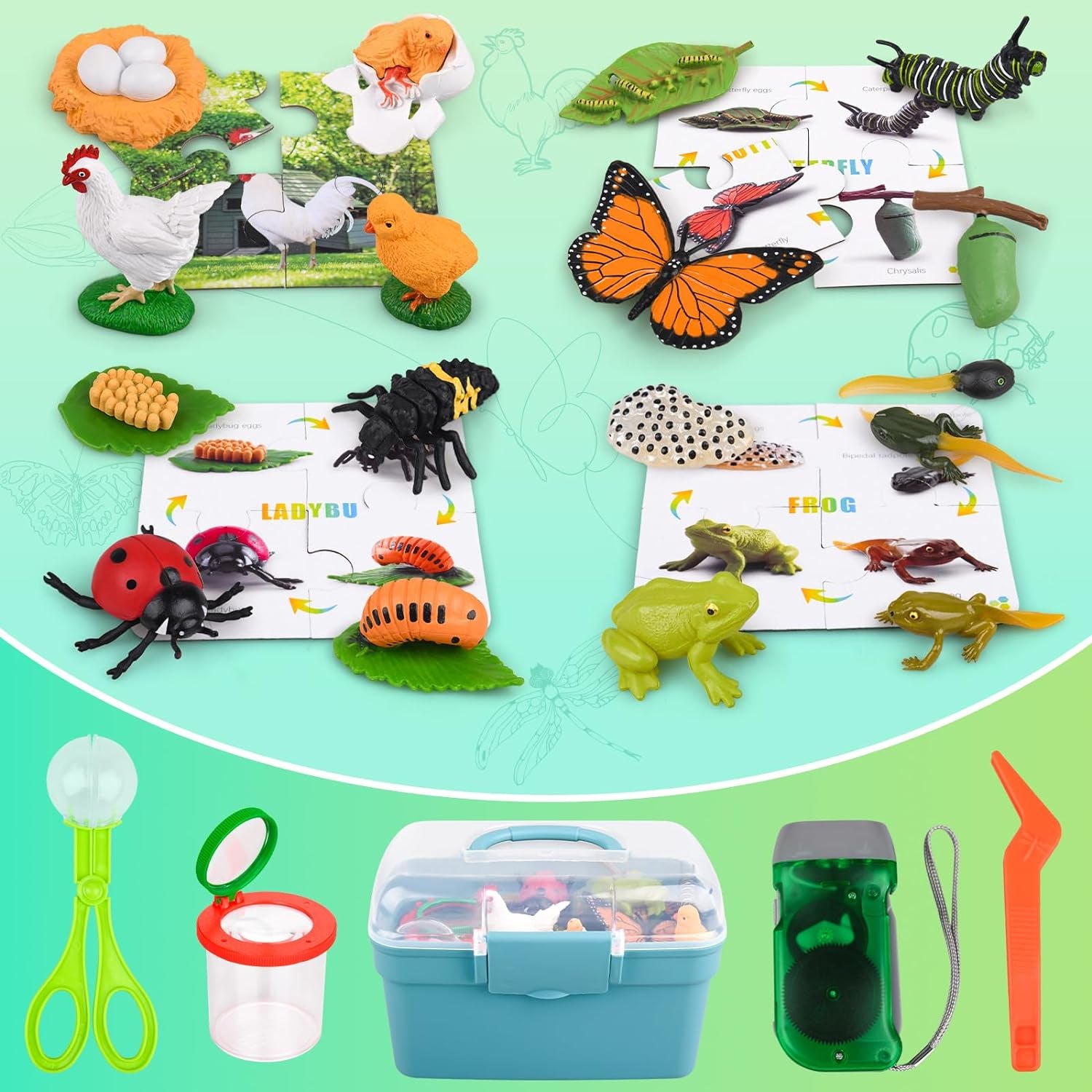 Life Cycle Learning & Education Toys, Montessori Toys Animal Toy Figurines for Frog, Butterfly, Chicken, Ladybug - Educational & Fun Matching Game Preschool Learning Toys Outdoor Explorer Kit