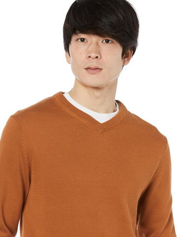 Men'S V-Neck Sweater (Available in Big & Tall)