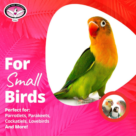 SB541 Crinkle Crinkle Little Star Bird Toy - Small Bird Size, Parrotlets, Cockatiels, Lovebirds - Foraging & Chew Toy - Stimulating Bird Toy for Enrichment - 6" X 2"